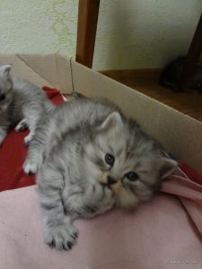 DSC04054.JPG