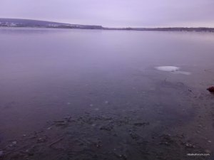 IMG_20151205_082659.jpg