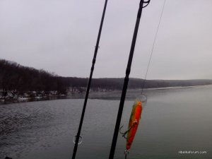 IMG_20151205_111856.jpg