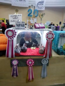 IMG_20151206_115736.jpg