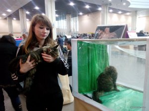 IMG_20151206_113949.jpg
