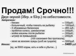 prikolnullnaa_fotopodborka_90_106.jpg