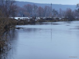 DSCN1233.JPG