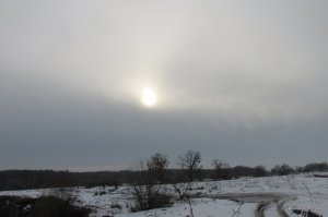 IMG_3570.JPG