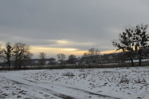 IMG_3579.JPG