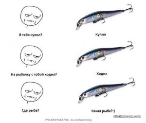 p5KjZd9OHhA.jpg