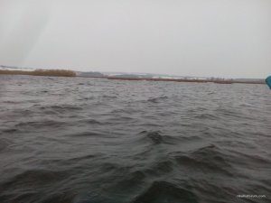 IMG_20151206_074138.jpg
