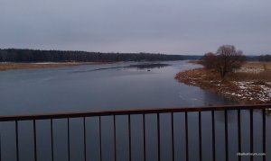IMAG0285.jpg
