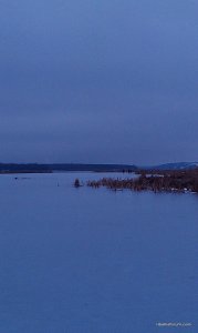 IMAG0284.jpg