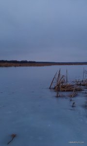 IMAG0282.jpg