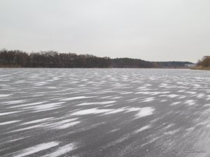 IMG_6429.JPG
