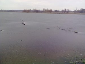 13122015755.jpg