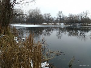 IMG_20151213_085017.jpg