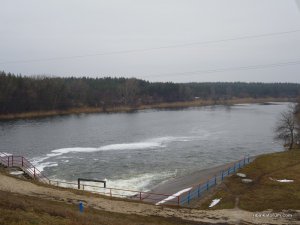 P1020386.JPG