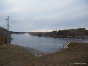 P1020355.JPG