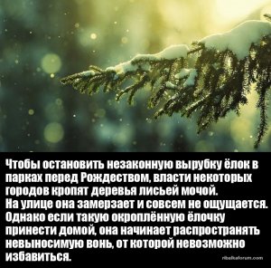 1435020669_06.jpg