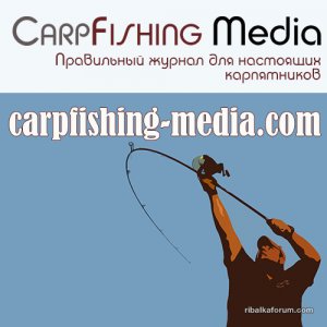 logo media social.jpg