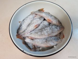 IMG_6511.JPG