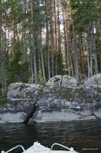 IMG_0061.JPG