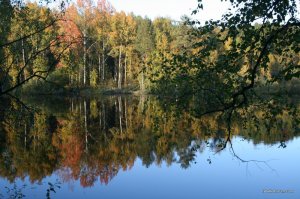 IMG_0193.JPG