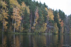IMG_0421.JPG