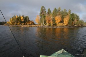 IMG_0538.JPG