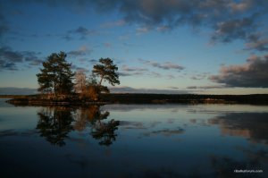 IMG_0583.JPG