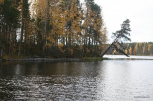IMG_0550.JPG