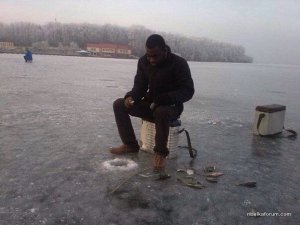 Окунь.jpg