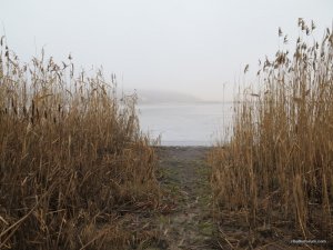 IMG_6524.JPG