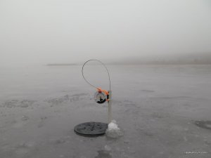 IMG_6526.JPG