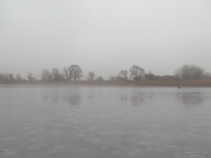 IMG_6527.JPG