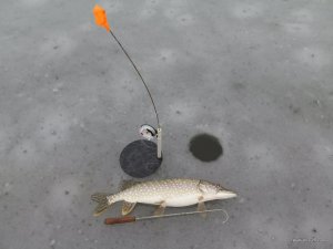 IMG_6534.JPG