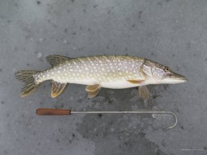 IMG_6535.JPG
