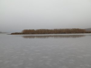 IMG_6555.JPG
