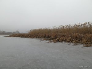 IMG_6556.JPG