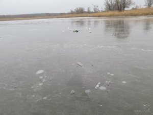 IMG_6562.JPG