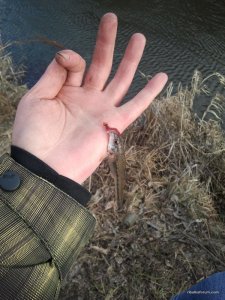 20151224_125245.jpg