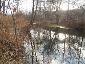 DSCN1273.JPG