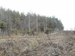 DSCN1276.JPG