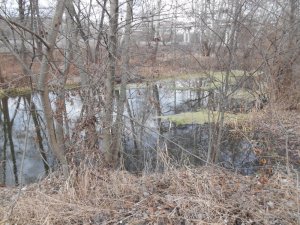 DSCN1277.JPG