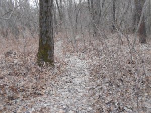 DSCN1279.JPG