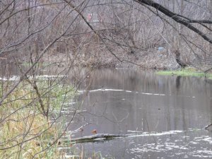 DSCN1280.JPG