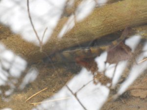 DSCN1290.JPG