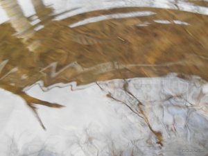 DSCN1299.JPG
