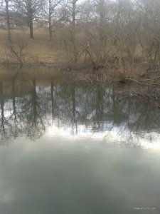 20151226_123223.jpg