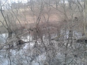 20151226_123248.jpg
