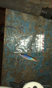 IMAG0602.jpg
