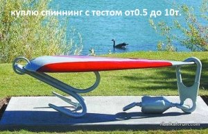 image (7).jpg
