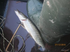 куба 011.jpg